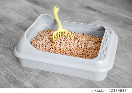 Cat toilet clean filled with wood granules. Wooden cat litter 123896584