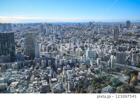 Tokyo Cityscape Featuring High-Rise Buildings and Urban Dec 9 2024 123897545