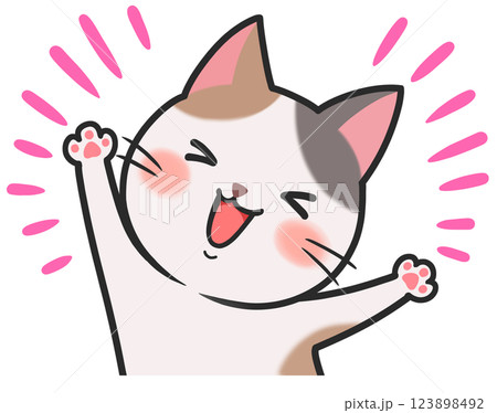 かわいい猫　喜ぶ　嬉しい　楽しい 123898492