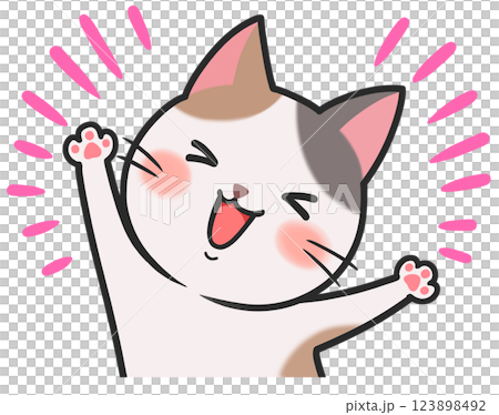 かわいい猫　喜ぶ　嬉しい　楽しい 123898492