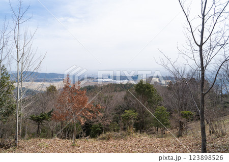 鉢伏山の山頂から見た景色（大阪府茨木市） 123898526