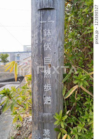 鉢伏自然歩道（大阪府茨木市） 123898527