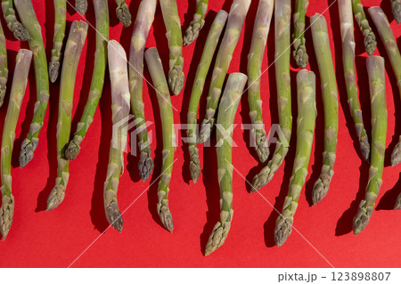 Green asparagus on red background. Vegetable food top view. Green asparagus on red background. Vegetable food top view. 123898807