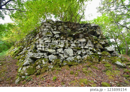 若桜鬼ヶ城 六角石垣 若桜鬼ヶ城 六角石垣 123899154