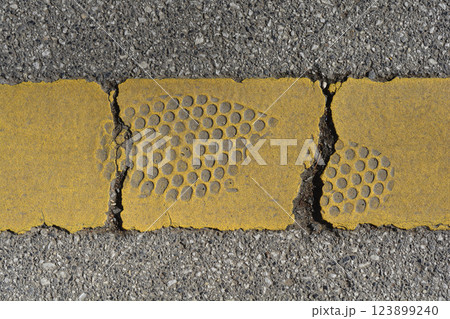 Shoe print 123899240