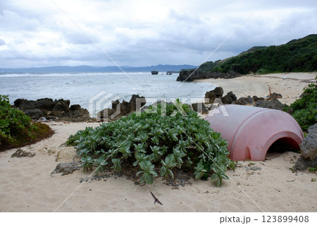 沖縄県 古宇利島 トケイ浜 沖縄県 古宇利島 トケイ浜 123899408
