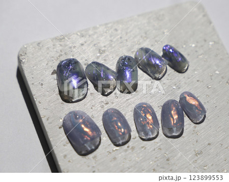 ネイルチップ 123899553