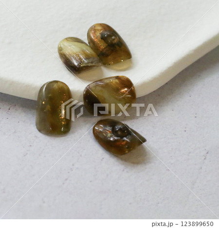 ネイルチップ ネイルチップ 123899650