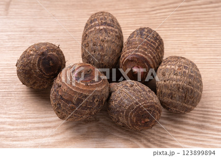 里芋(セレベス) 里芋(セレベス) 123899894