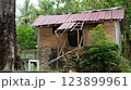 Rustic Bamboo Hut with Red Roof in Tropical Setting Remote Living 123899961