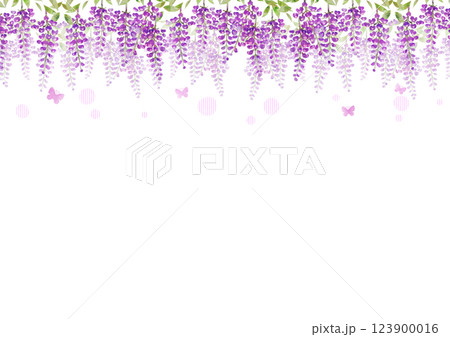 藤の花と蝶 藤の花と蝶 123900016