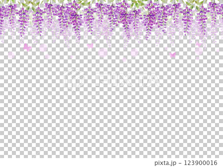 藤の花と蝶 藤の花と蝶 123900016