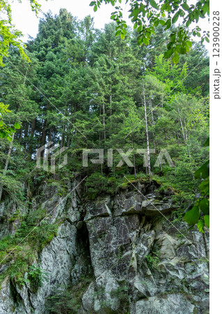Rock in green forest. Nature Rock in green forest. Nature 123900228