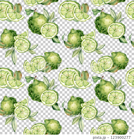 Bright lime fruit pattern isolated on white. Watercolor seamless design with green limes, slices, and leaves hand drawn botanical style. For textiles, wallpaper, packaging, and fresh tropical decor. Bright lime fruit pattern isolated on white. Watercolor seamless design with green limes, slices, and leaves hand drawn botanical style. For textiles, wallpaper, packaging, and fresh tropical decor. 123900277
