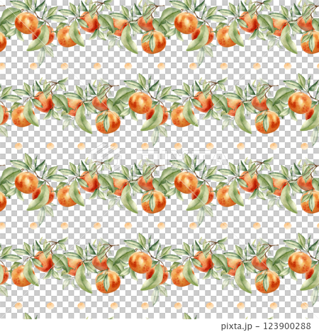 Grapefruits on branches of fruit tree seamless background isolated. Botanical Pattern by watercolor citrus plants. Hand drawn leafy sprig and oranges on repeated texture for design textile, package. Grapefruits on branches of fruit tree seamless background isolated. Botanical Pattern by watercolor citrus plants. Hand drawn leafy sprig and oranges on repeated texture for design textile, package. 123900288