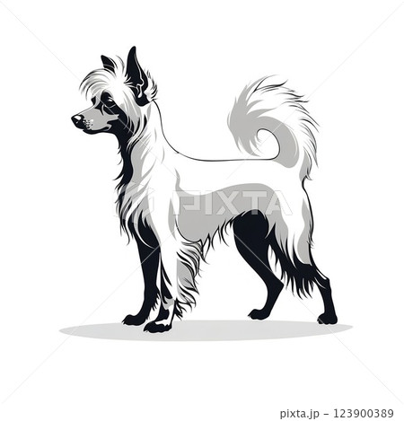 内向的でシャイな面があるチャイチー犬 123900389