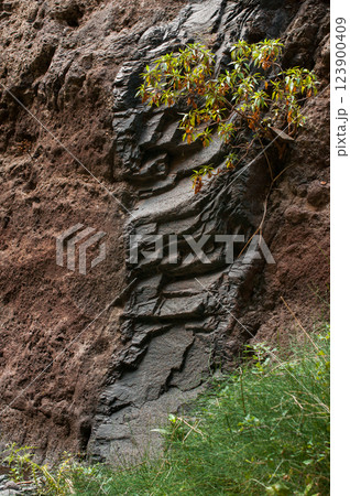 Layered volcanic rock formation with sparse vegetation in Tenerife landscape Layered volcanic rock formation with sparse vegetation in Tenerife landscape 123900409