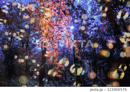 紅葉とシャボン玉 123900576