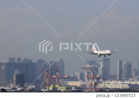 着陸進入する旅客機　 123900723