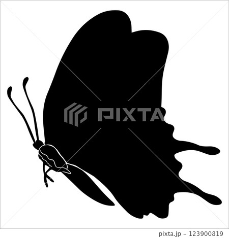 Butterfly insect silhouette illustrations . Insect with wind for tattoo, hand drawn stickers, coloring page. Vector illustration, isolate on white background Butterfly insect silhouette illustrations . Insect with wind for tattoo, hand drawn stickers, coloring page. Vector illustration, isolate on white background 123900819
