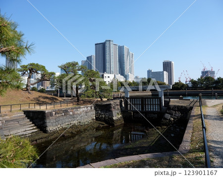 浜離宮恩賜庭園散策 浜離宮恩賜庭園散策 123901167