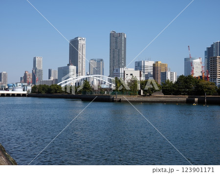 浜離宮恩賜庭園散策 浜離宮恩賜庭園散策 123901171