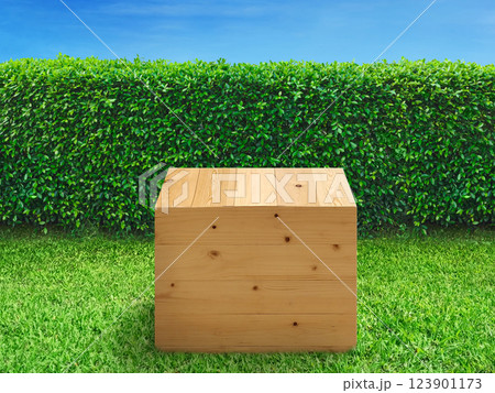 Empty wooden crates on a lawn with a fence or tree wall as a background. 123901173