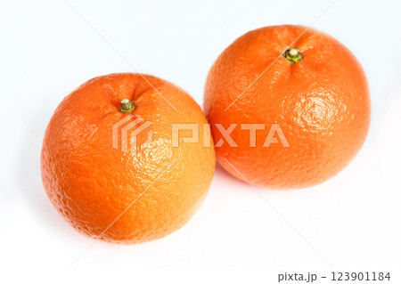柑橘類（タンカン） 123901184