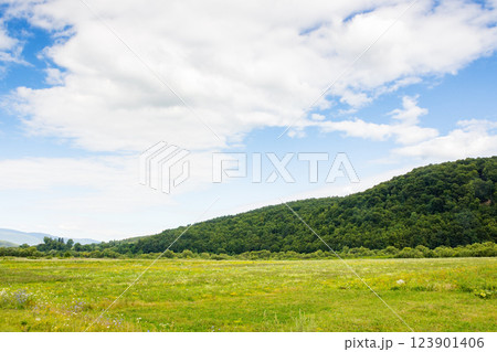 countryside landscape with field near the hill. rural outdoor adventure. beautiful nature of ukraine in summer. blue sky with clouds countryside landscape with field near the hill. rural outdoor adventure. beautiful nature of ukraine in summer. blue sky with clouds 123901406