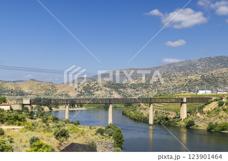 Typical Douro landscape near Pocinho, UNESCO site, Vila Nova de Foz Coa, Alto Douro wine region, Portugal 123901464