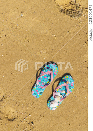 flip flops with seashells on the beach 123901475