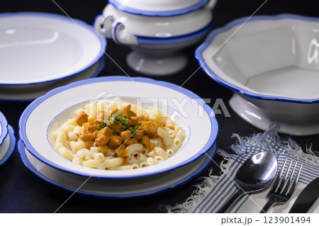 Traditional czech dish, chicken with paprika creamy sauce with pasta - typical for czech or middle europe. 123901494