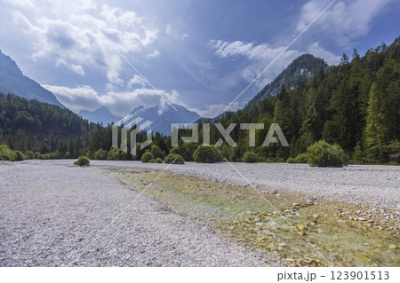 Pisnica river near Kranjska Gora, Triglavski national park, Slovenia 123901513