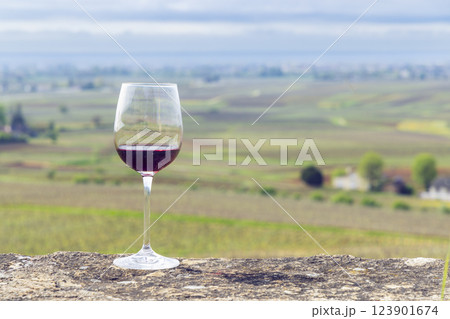 Glass of pinot noir red wine in early spring vineyards near Aloxe-Corton, Burgundy, France Glass of pinot noir red wine in early spring vineyards near Aloxe-Corton, Burgundy, France 123901674