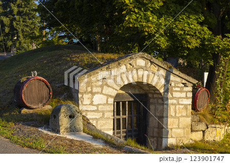 Traditional wine cellars in Tolcsva, Great Plain, North Hungary 123901747