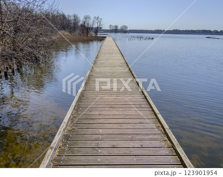 Explore serene wooden walkway over calm waters at Lac Biscarosse during bright daylight, surrounded 123901954