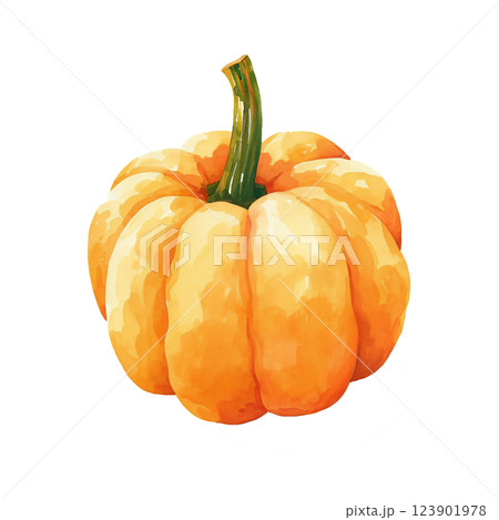 かぼちゃ 123901978