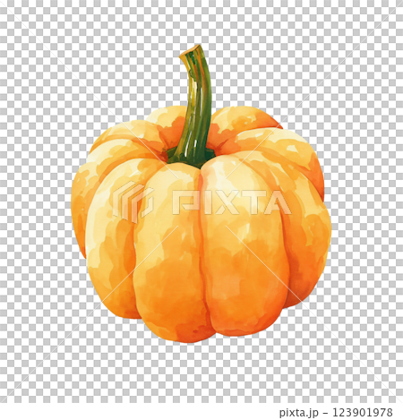 かぼちゃ 123901978