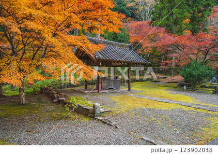 森町にある大洞院の紅葉の風景(静岡県) 123902038