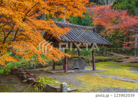 森町にある大洞院の紅葉の風景(静岡県) 123902039