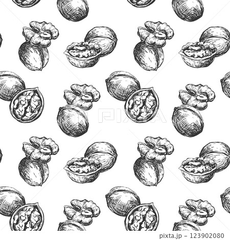 Hand drawn walnut sketch vector illustration. Seamless pattern walnut kernel, whole walnut, shell sketch icon. Fresh organic food, oil. Black and white nut drawing. Isolated on white background. 123902080