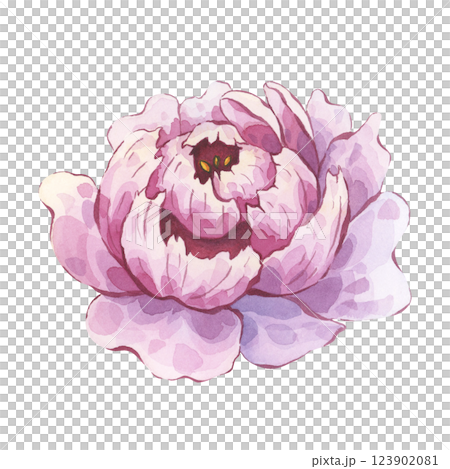 Watercolor illustration of a pink peony flower. Pastel hand-painted bloom. Great for nature-inspired designs, wall art, greeting cards, and wedding decorations 123902081