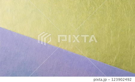 優雅な和柄、和風イメージの背景素材 123902492