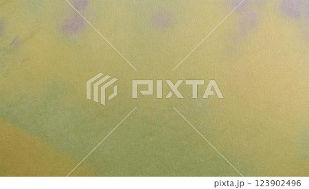 優雅な和柄、和風イメージの背景素材 123902496