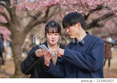 スマートフォンを見ながら話をする若いカップル スマートフォンを見ながら話をする若いカップル 123902625