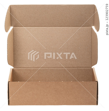 Open Cardboard Box isolated on white 123902759