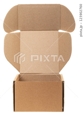 Open Cardboard Box isolated on white 123902760