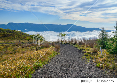 鉢伏山登山道より美ヶ原高原方面を望む 鉢伏山登山道より美ヶ原高原方面を望む 123902775