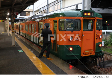 相生駅に停車中の山陽本線115系湘南色（相生-岡山⇔糸崎） 123902938