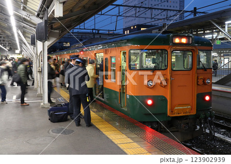 岡山駅に停車中の山陽本線115系湘南色（相生-岡山⇔糸崎） 123902939